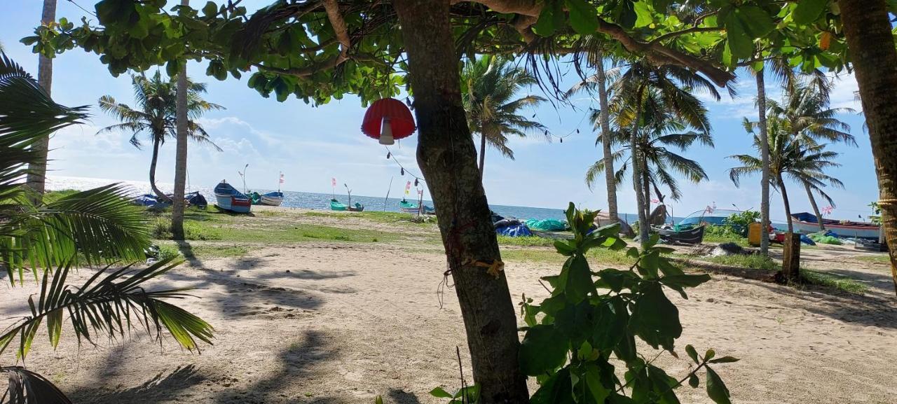 Marari Anna Beach Villa Mararikulam Dış mekan fotoğraf